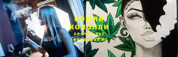 молекула духа Богданович
