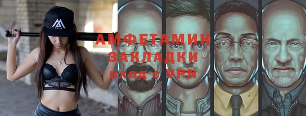 молекула духа Богданович