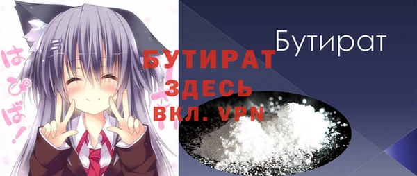 молекула духа Богданович