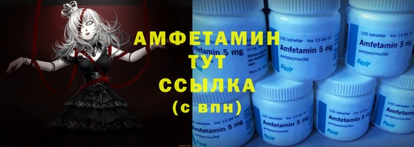 молекула духа Богданович