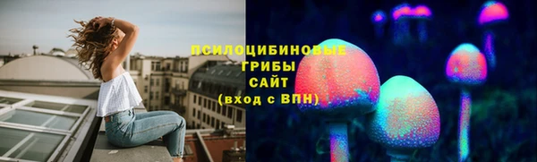 первитин Богородск