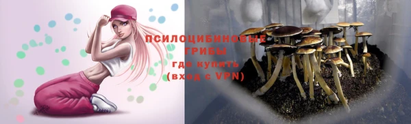 первитин Богородск