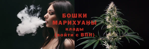 молекула духа Богданович