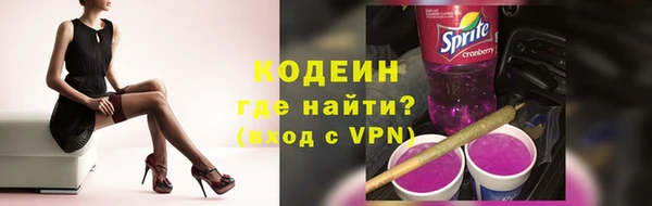 молекула духа Богданович