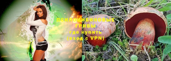 молекула духа Богданович