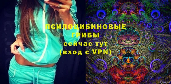 apvp Богородицк