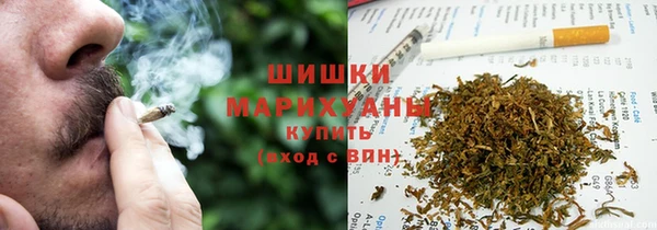 молекула духа Богданович