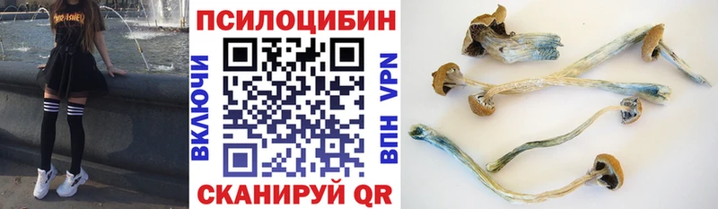 наркота  Чебоксары  Галлюциногенные грибы мицелий 